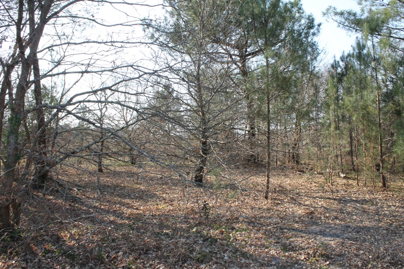 Terrains à Gastes