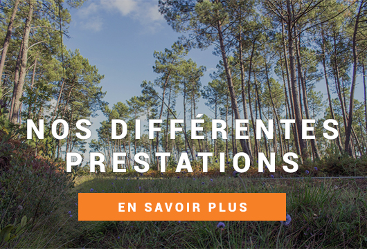 Achat terrain, Vente terrain, Construction de maison Biscarrosse, Parentis en Born et Mimizan